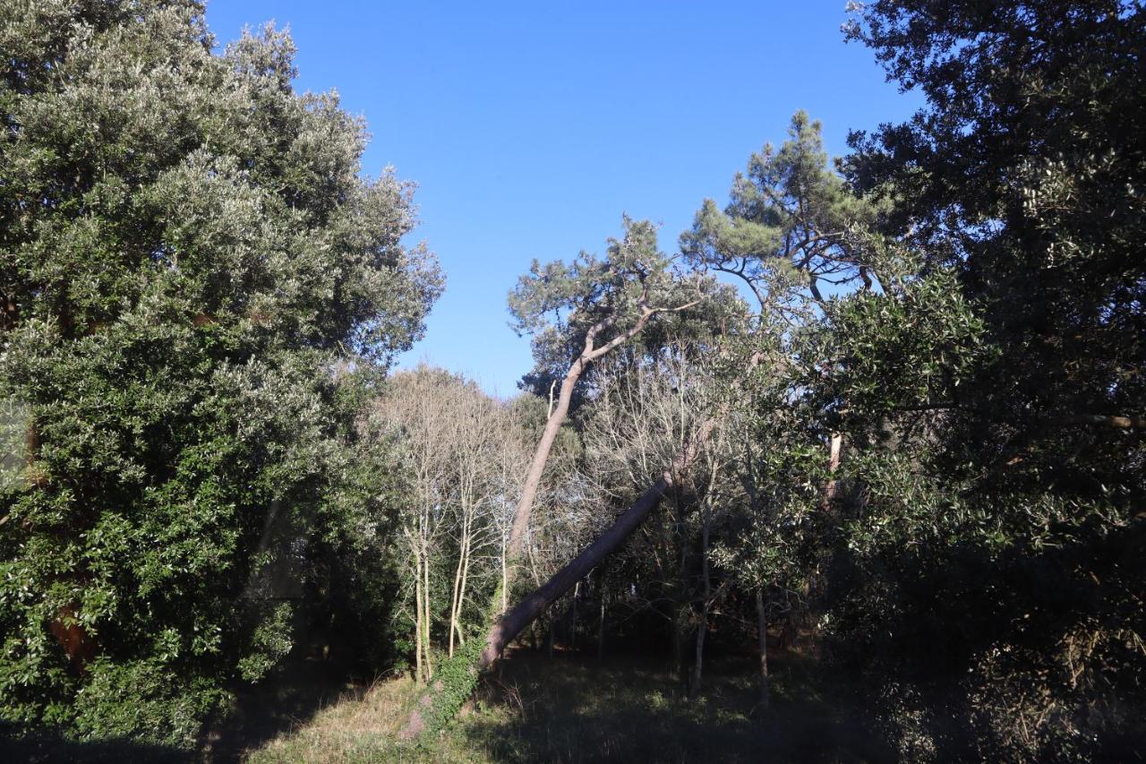 Pascanono - Location De Maison De Avec Jardin Pour à Le Palais, Belle-ile-en-mer * Le Palais